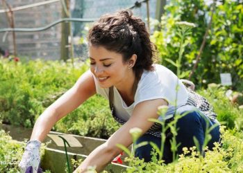 Почему выгодно продавать недвижимость в Торонто весной